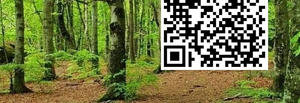 Ti På Topp Vestfold - Gratis for medlemmer!